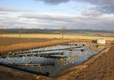Reed Bed Liners, Perth, Scotland