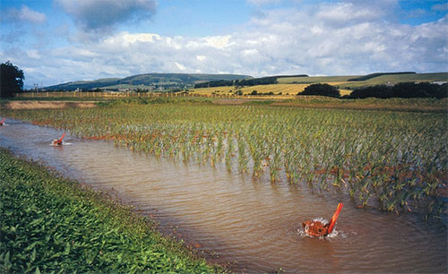 Reed Bed Linings